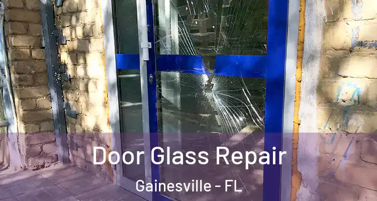Door Glass Repair Gainesville - FL