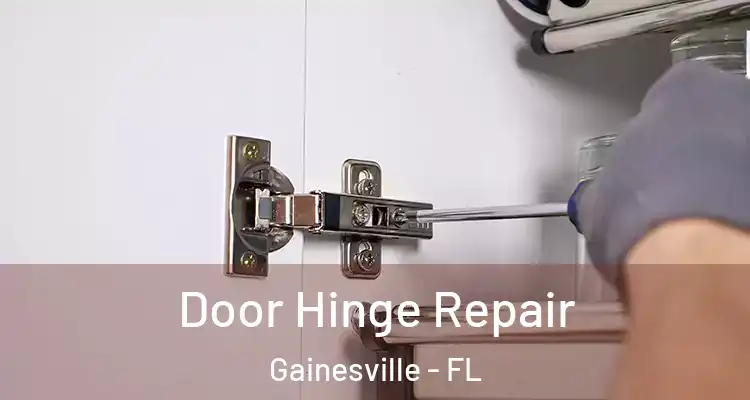 Door Hinge Repair Gainesville - FL