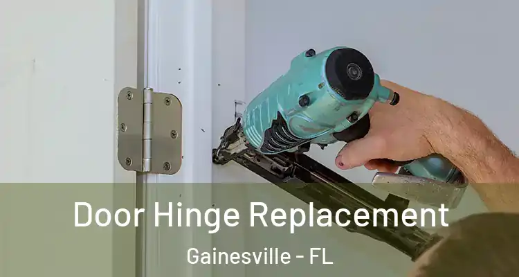 Door Hinge Replacement Gainesville - FL