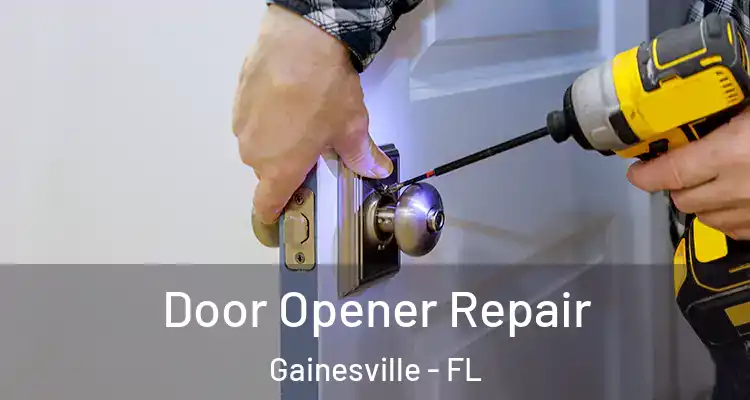 Door Opener Repair Gainesville - FL