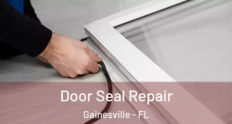 Door Seal Repair Gainesville - FL
