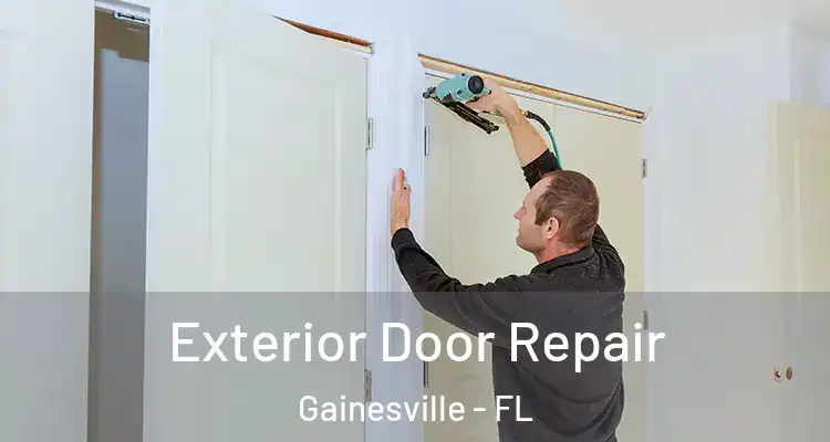 Exterior Door Repair Gainesville - FL