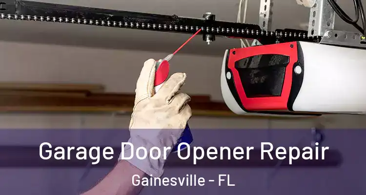 Garage Door Opener Repair Gainesville - FL