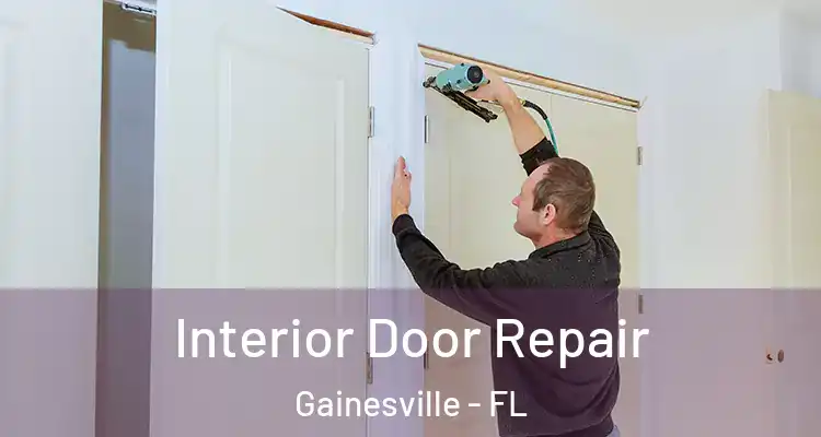 Interior Door Repair Gainesville - FL