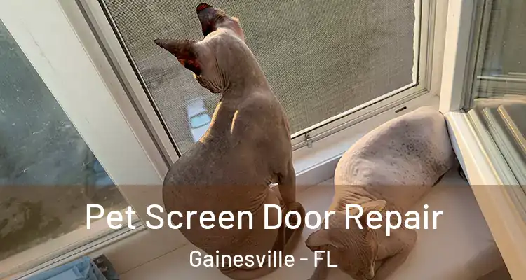 Pet Screen Door Repair Gainesville - FL