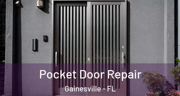 Pocket Door Repair Gainesville - FL
