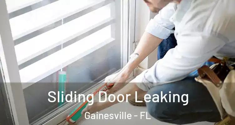 Sliding Door Leaking Gainesville - FL