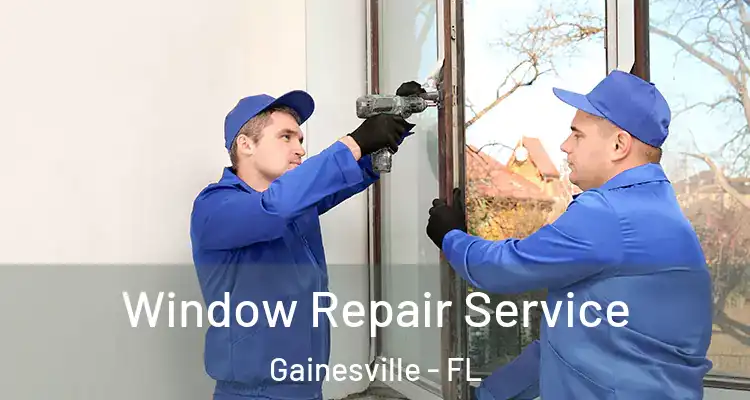 Window Repair Service Gainesville - FL